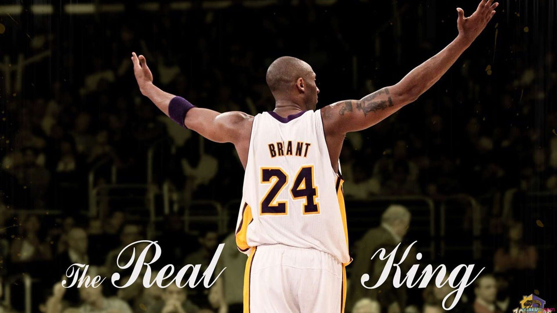 KAIYUN 中国大陆-“马丁·高尔西的技术突破：美洲狮队防守体系的核心”